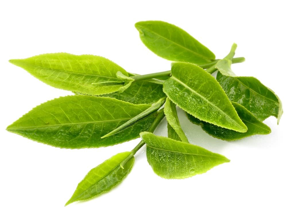 Dược phẩm VERA SUNSHINE