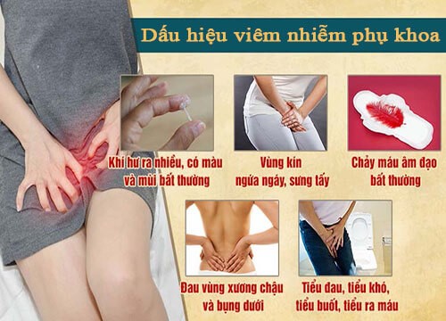 Dược phẩm VERA SUNSHINE