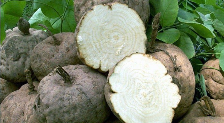 Dược phẩm VERA SUNSHINE