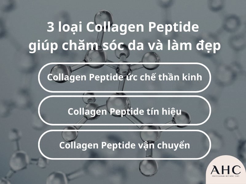 Dược phẩm VERA SUNSHINE