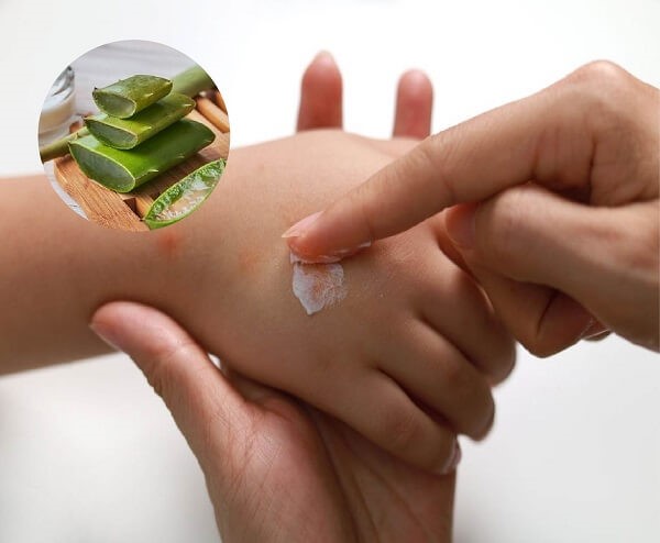 Dược phẩm VERA SUNSHINE