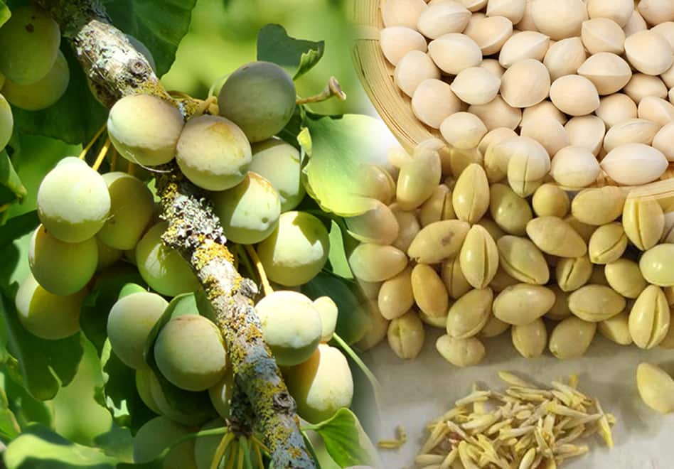 Dược phẩm VERA SUNSHINE