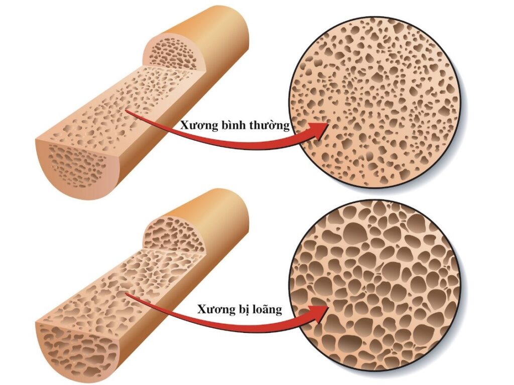Dược phẩm VERA SUNSHINE