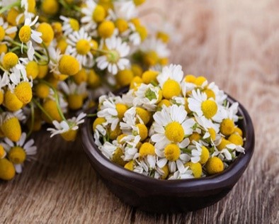 Dược phẩm VERA SUNSHINE