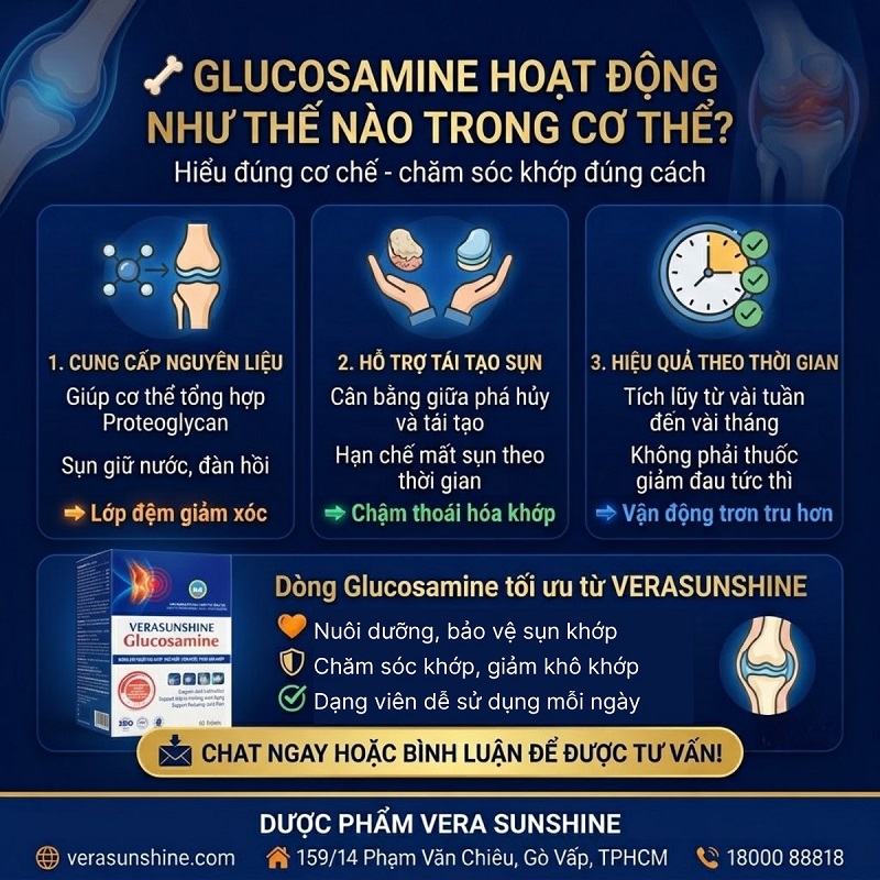 Verasunshine Glucosamine - Glucosamine hoạt động thế nào trong cơ thể