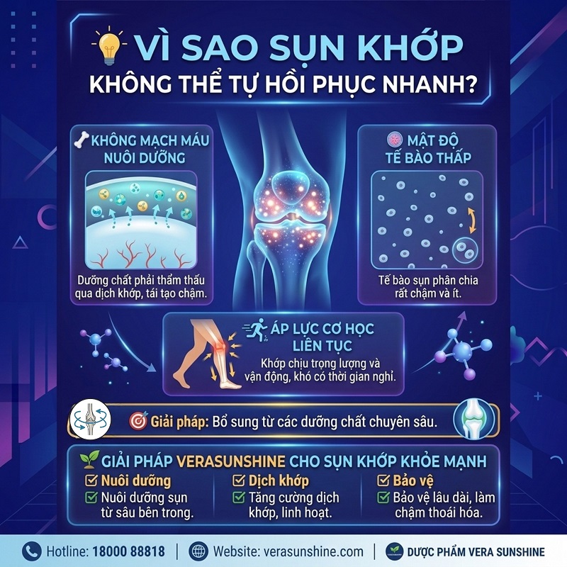Verasunshine Glucosamine: Có thật sự hiệu quả cho người đau khớp?