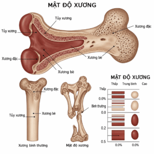 Hiểu về sức khỏe xương khớp