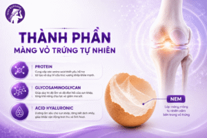 Thành phần màng vỏ trứng tự nhiên