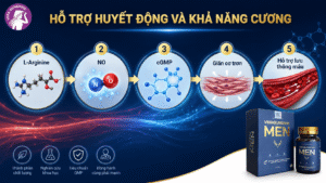 Cơ chế hỗ trợ huyết động và khả năng cương